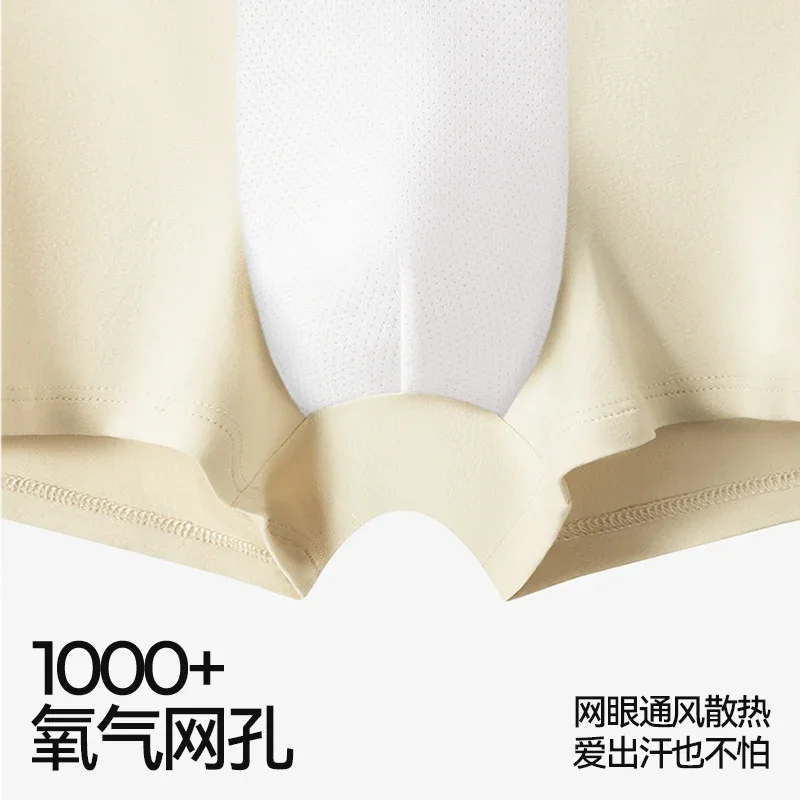 2025 New Cotton A-Class: Sports, Antibacterial
