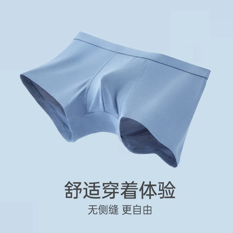 Men's Modal Boxers: Morandi, 7A Antibacterial