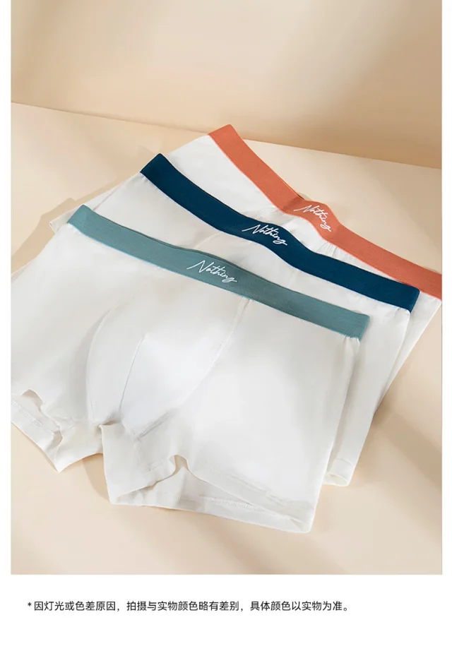 Men's 2025 Cotton Boxer Briefs Detail