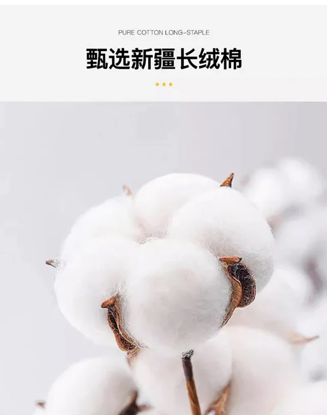 280g Heavyweight Cotton Double Yarn Short Sleeve Detail