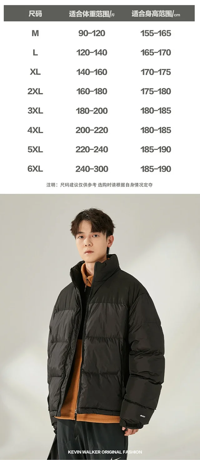 Men's Puffer Jacket 2025 Detail