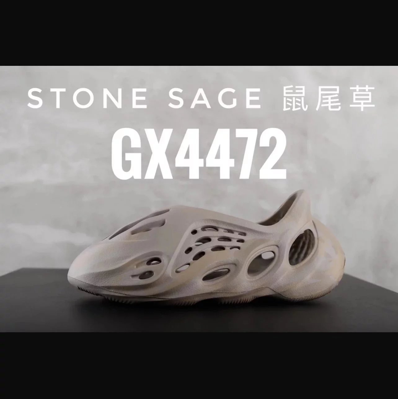 Stone Sage Sage/GX_5