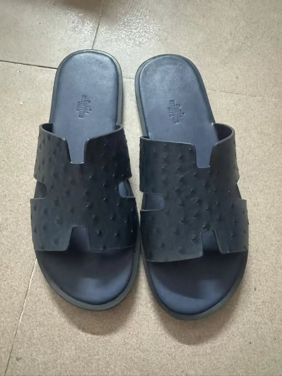 Blue ostrich pattern