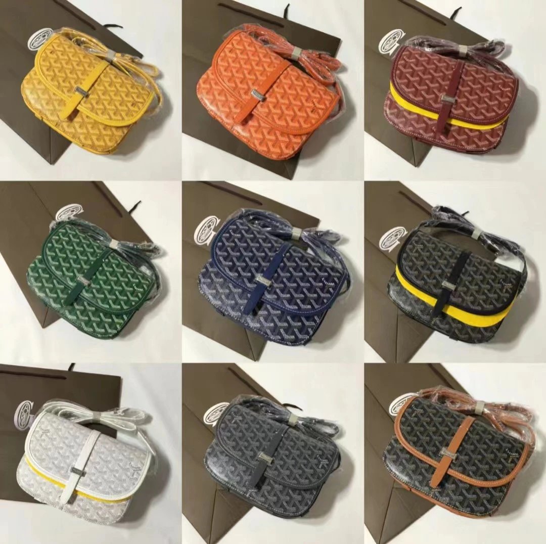 Goyard Saint Louis Saddle Bag Orange Crossbody Bag - 2