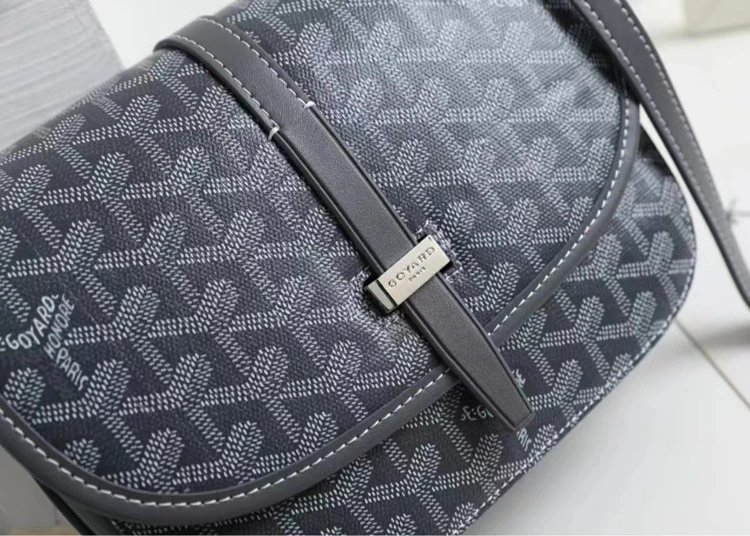 Goyard Saint Louis Saddle Bag Orange Crossbody Bag - 20