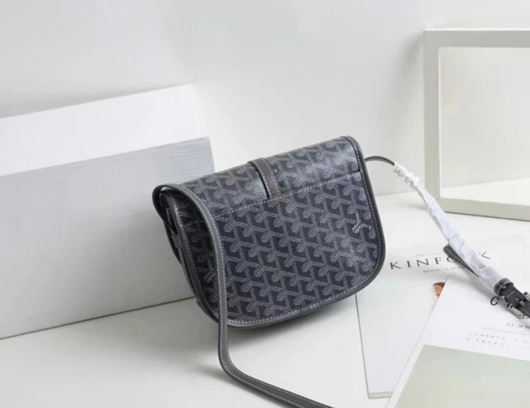 Goyard Saint Louis Saddle Bag Orange Crossbody Bag - 19