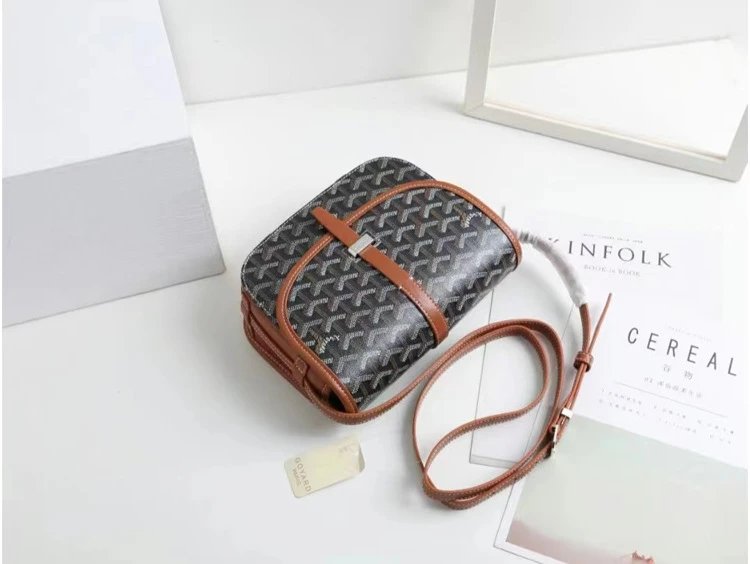 Goyard Saint Louis Saddle Bag Orange Crossbody Bag - 8
