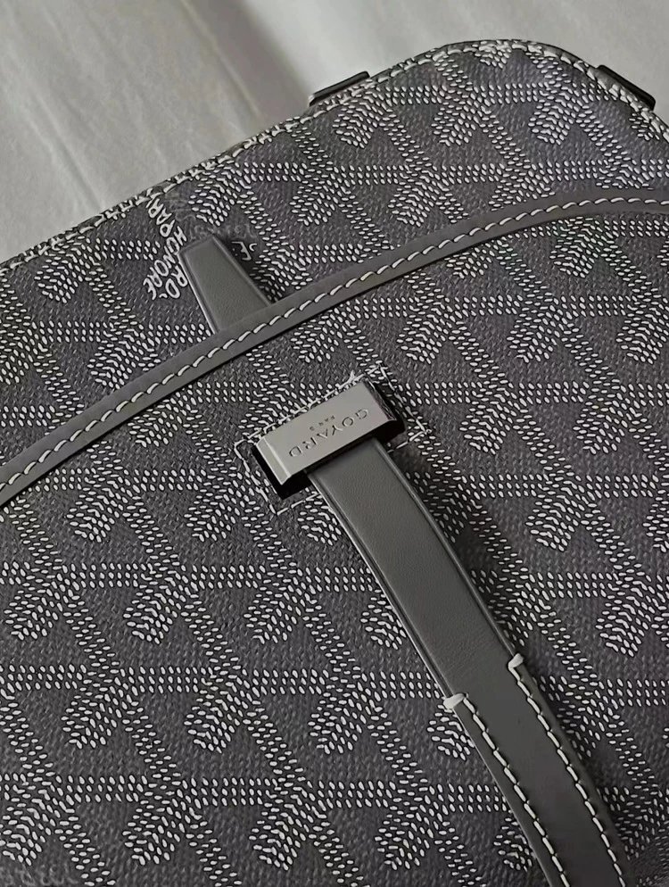 Goyard Saint Louis Saddle Bag Orange Crossbody Bag - 24