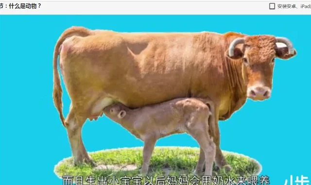 幼儿童趣味科普长知识视频讲解人文天文科学人体时间动物地球启蒙