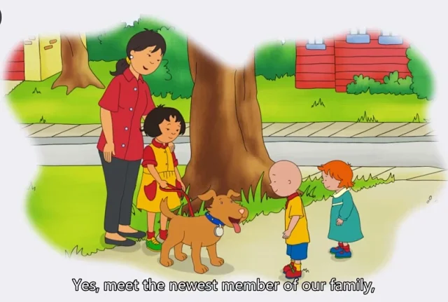 卡由Caillou英语动画片中英文版全5季高清1080+字幕绘本台词