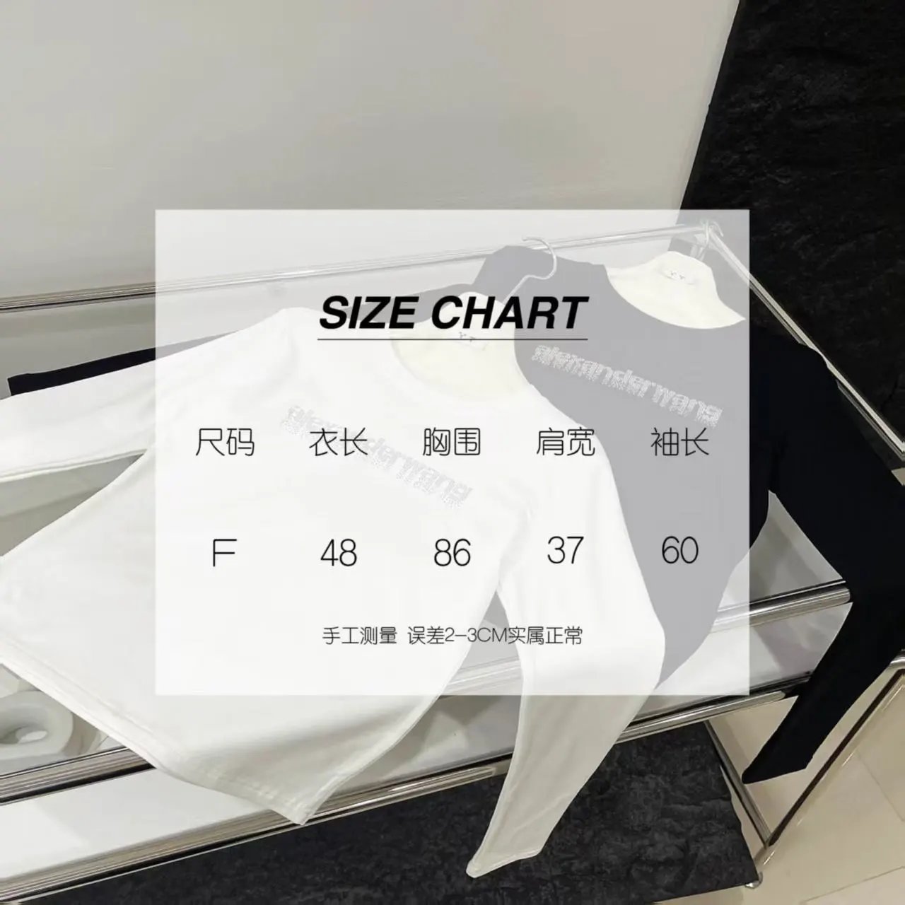 Alexander Wang Logo Embroidered Cropped Long-Sleeve T-Shirt in White and Black - 2