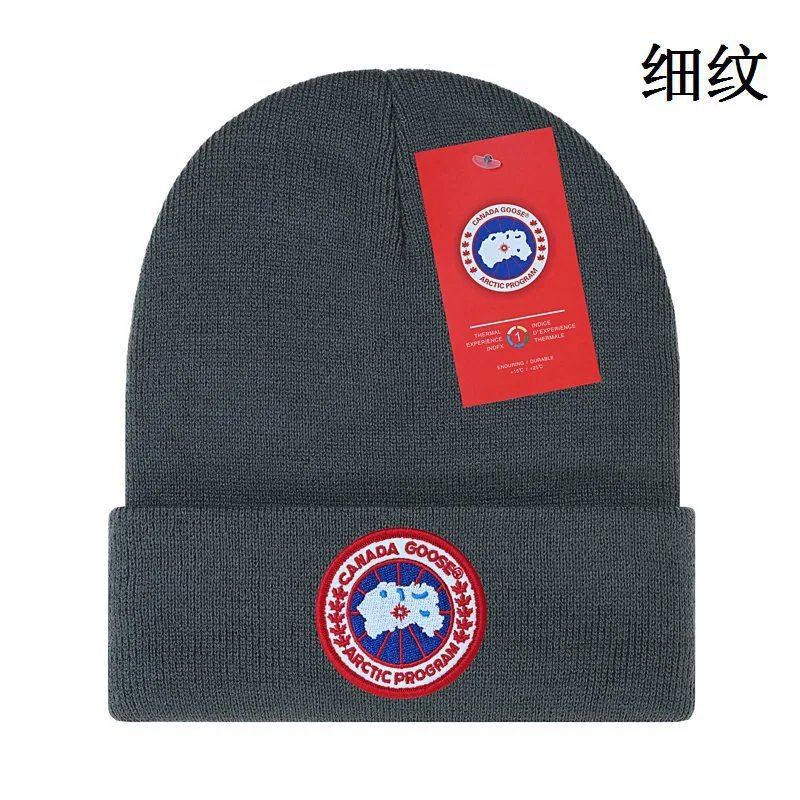 Canada Goose Beanie — 22 colorway — USFans Spreadsheet photo