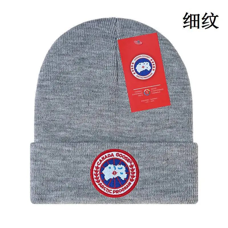 Canada Goose Beanie — 29 colorway — USFans Spreadsheet photo
