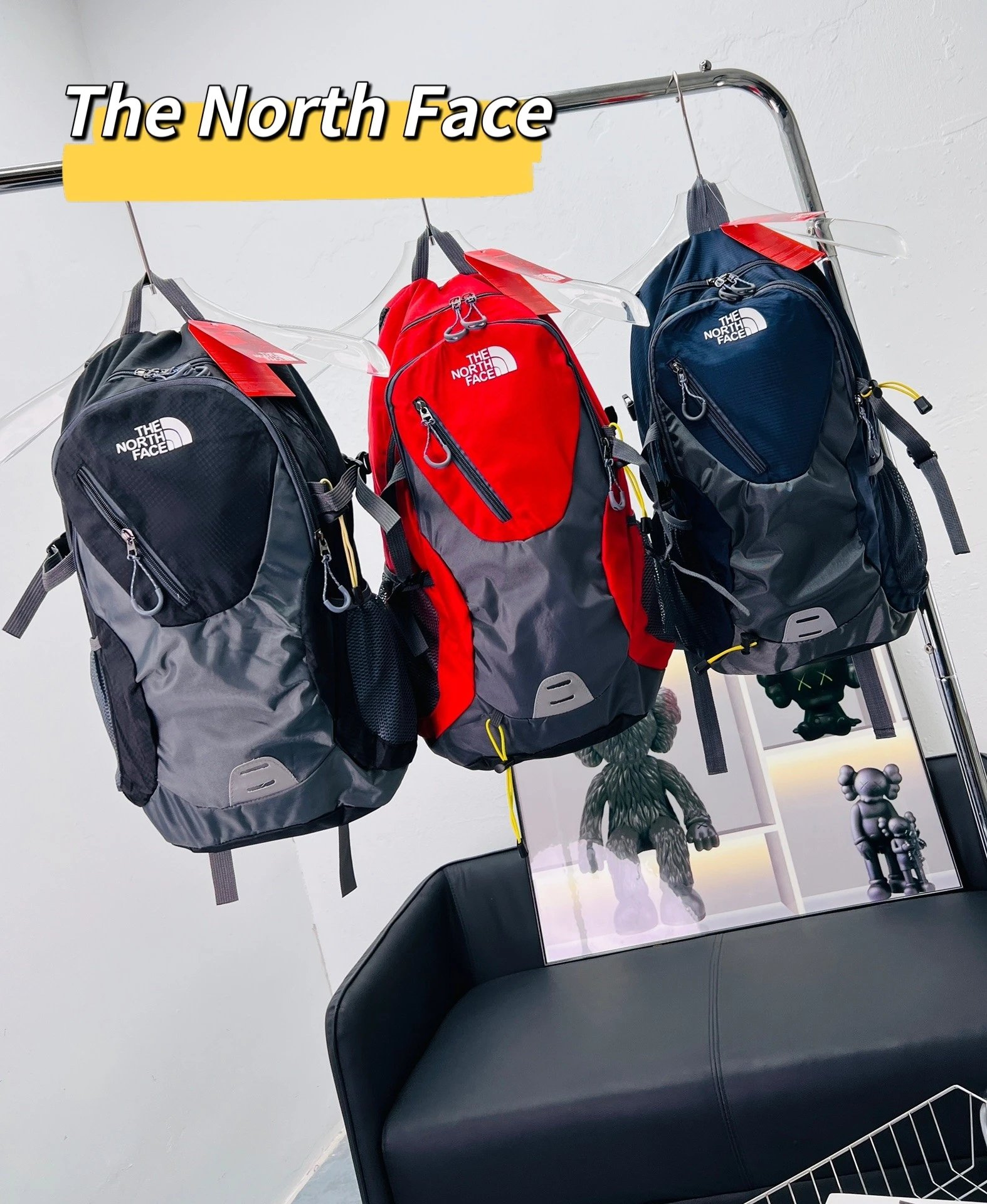 2199 TNF北面双肩包一包多用 满足多种需求野营  徒步 旅游 登山等适应各种户外项目 - 134724