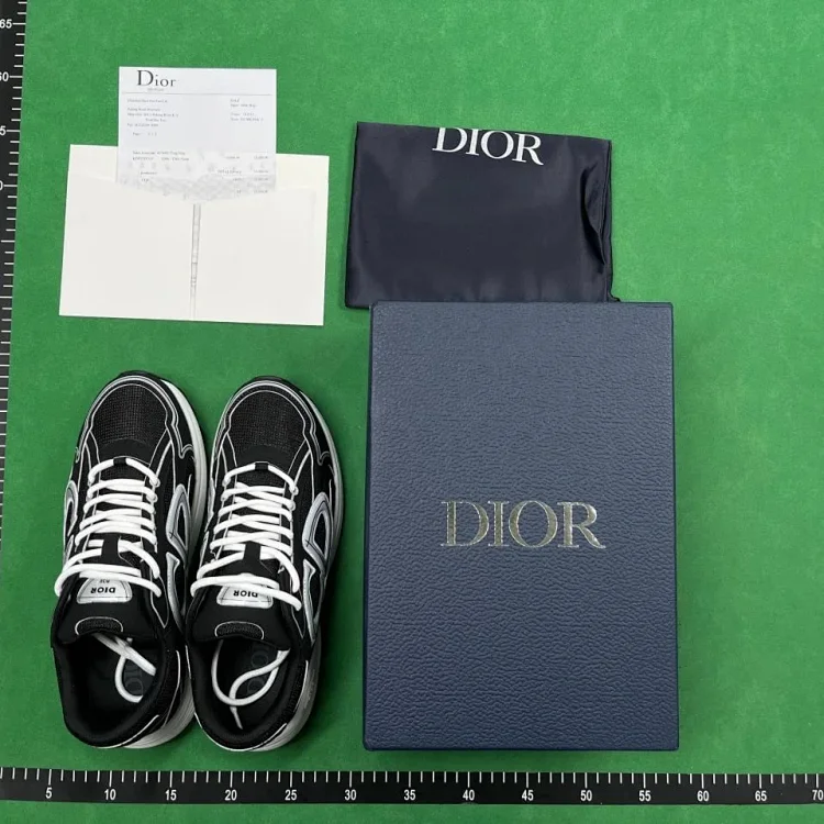 DIOR B30