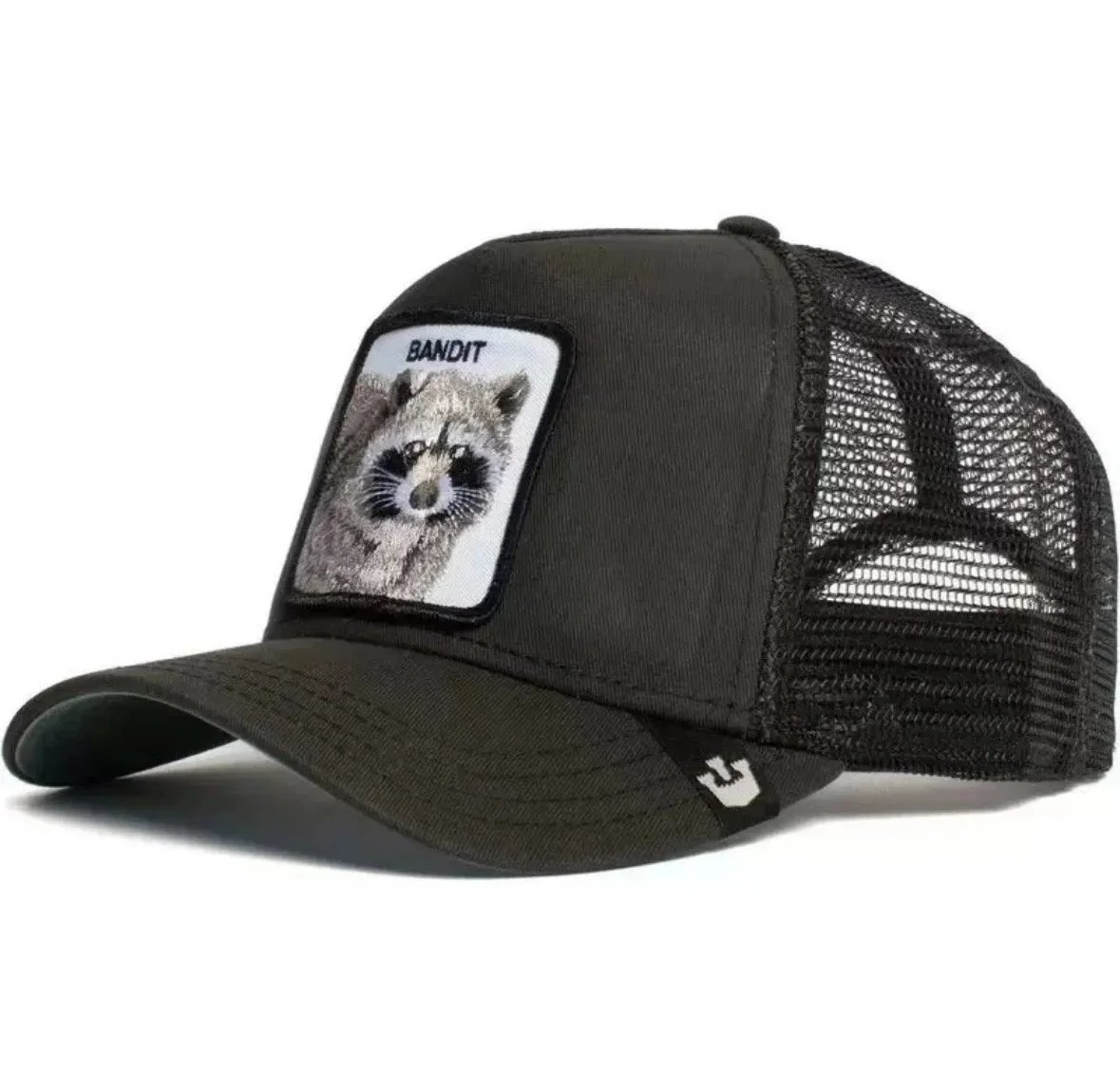 Raccoon