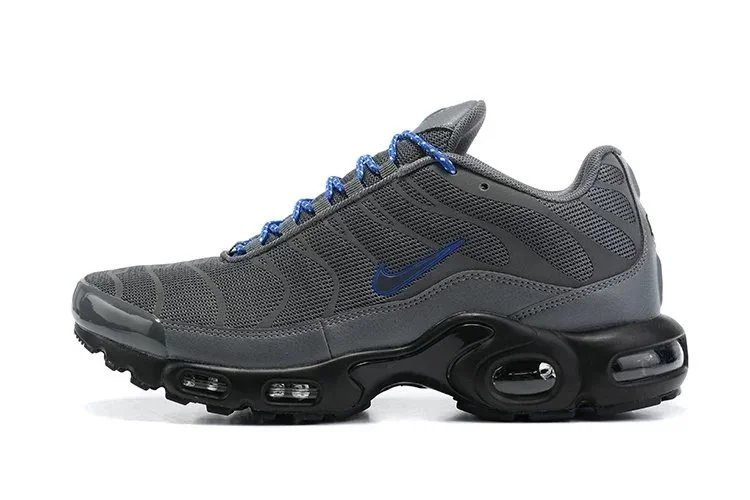 Nike Air Max Plus Silver Metallic Sneakers - 37