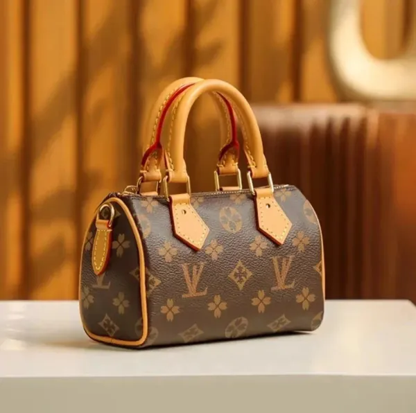 Louis Vuitton Speedy 20 Monogram Canvas Brown Handbag - 1