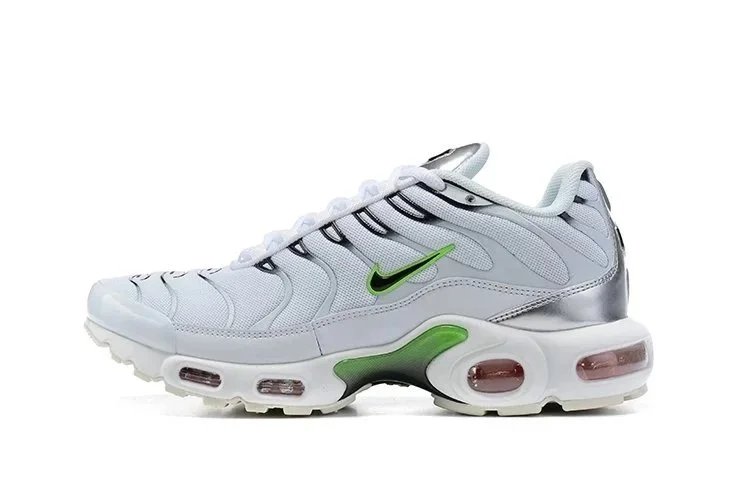 Nike Air Max Plus Silver Metallic Sneakers - 30