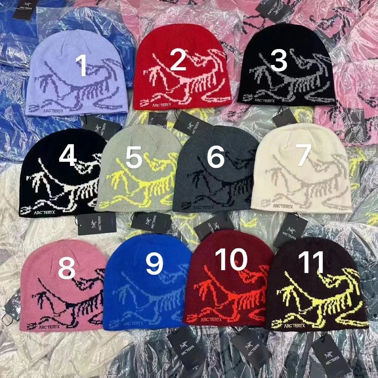 DX49-2 Embroidered Warm Beanie for Spring and Autumn