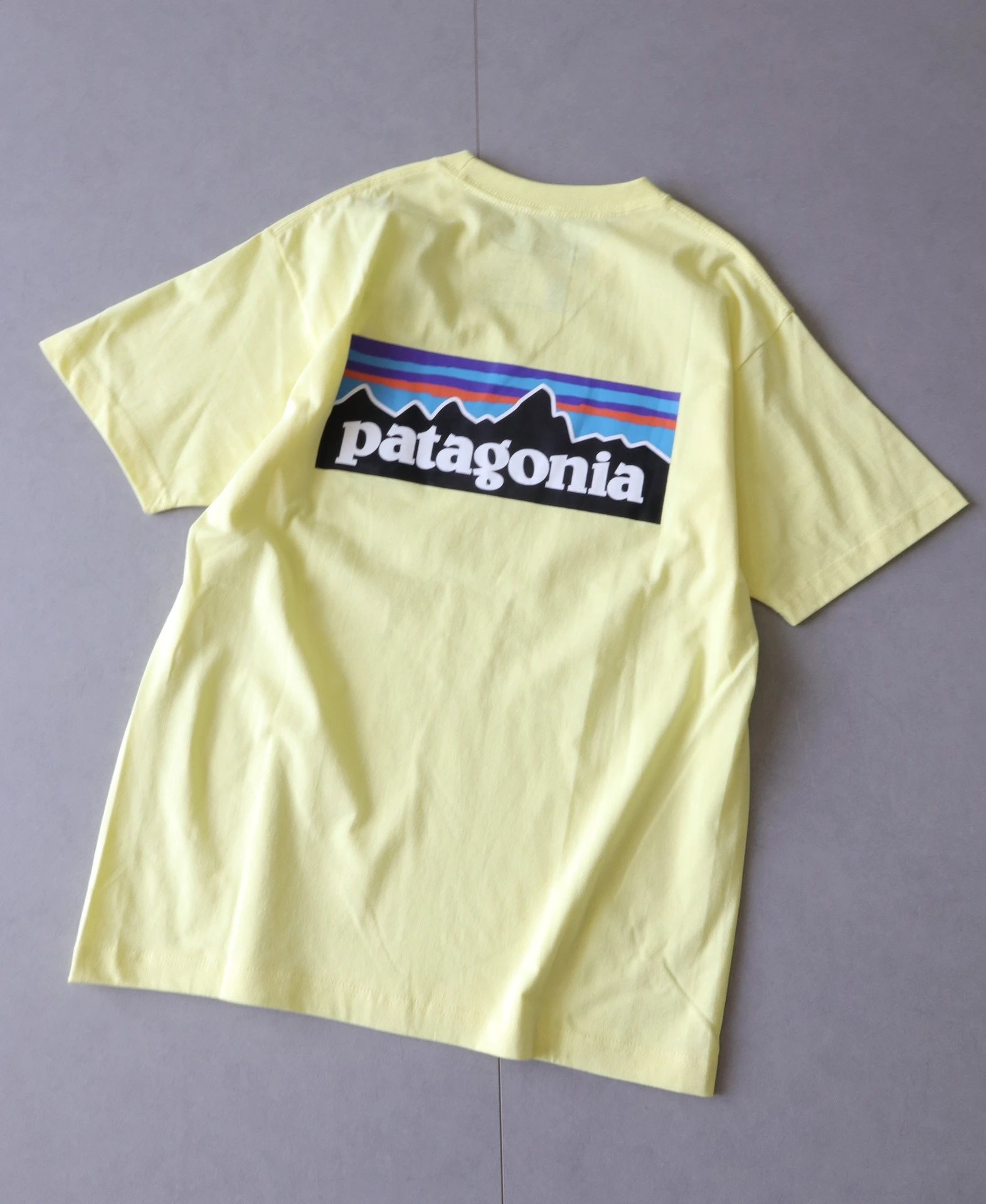 Patagonia P-6 Logo Responsibili-Tee Forest Green T-Shirt - 27