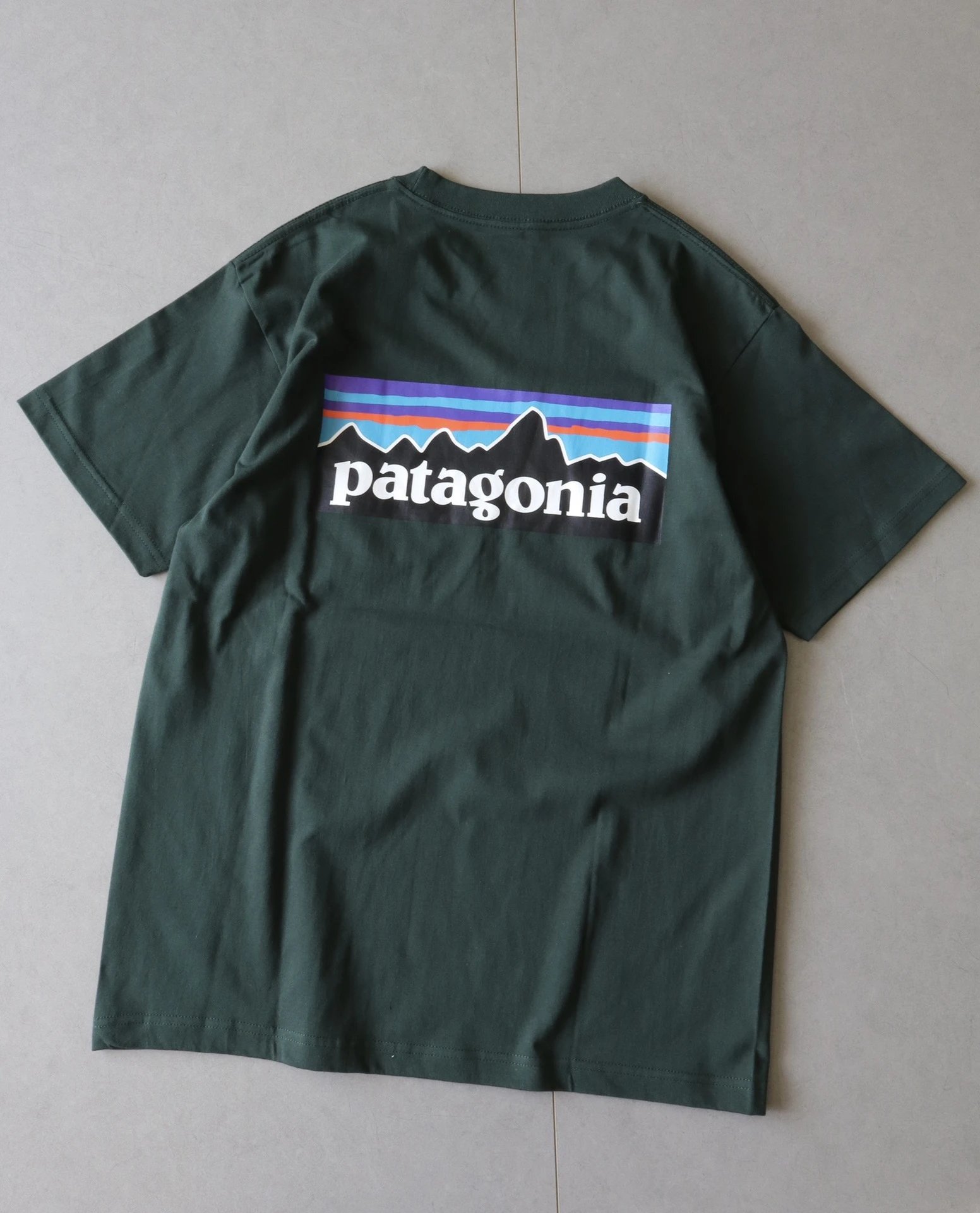 Patagonia P-6 Logo Responsibili-Tee Forest Green T-Shirt - 25