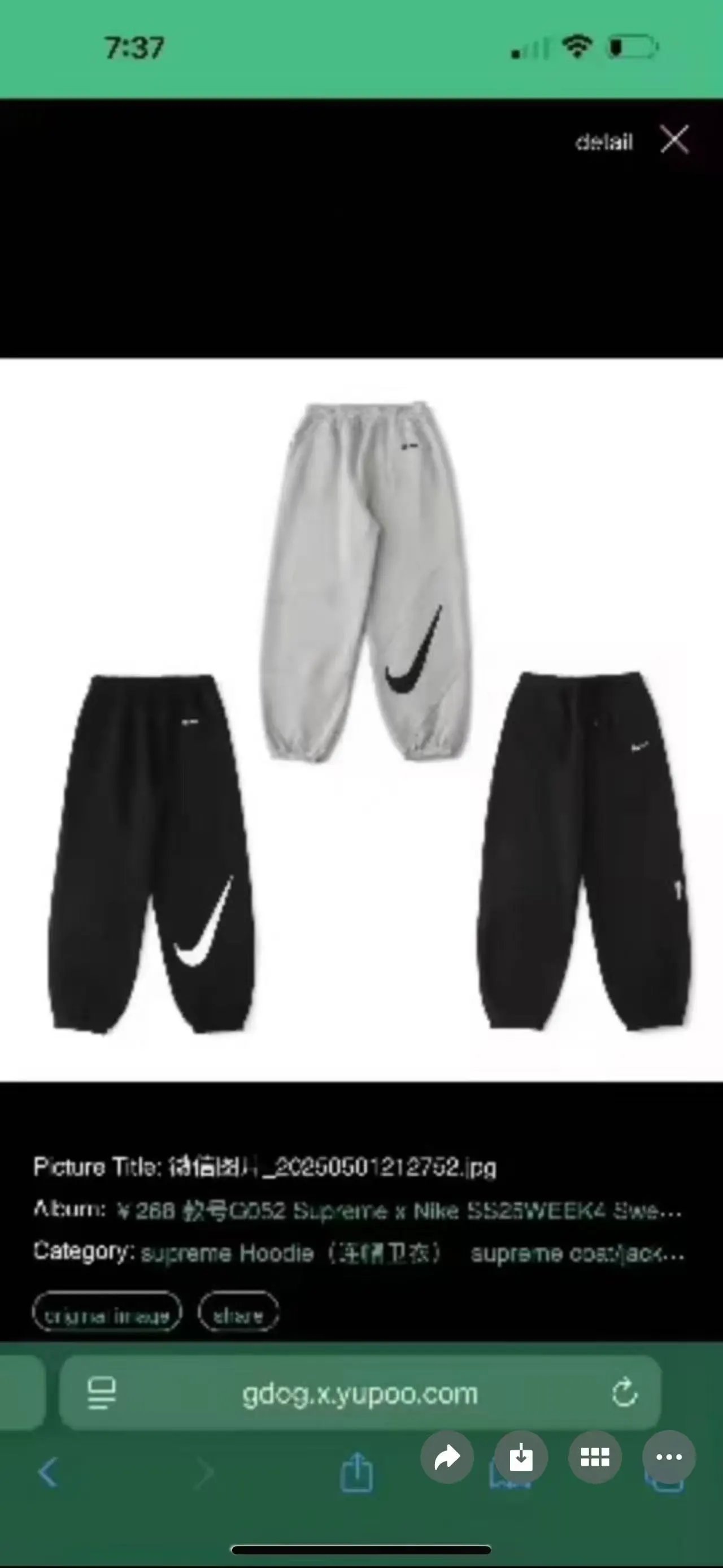 Gray Pants