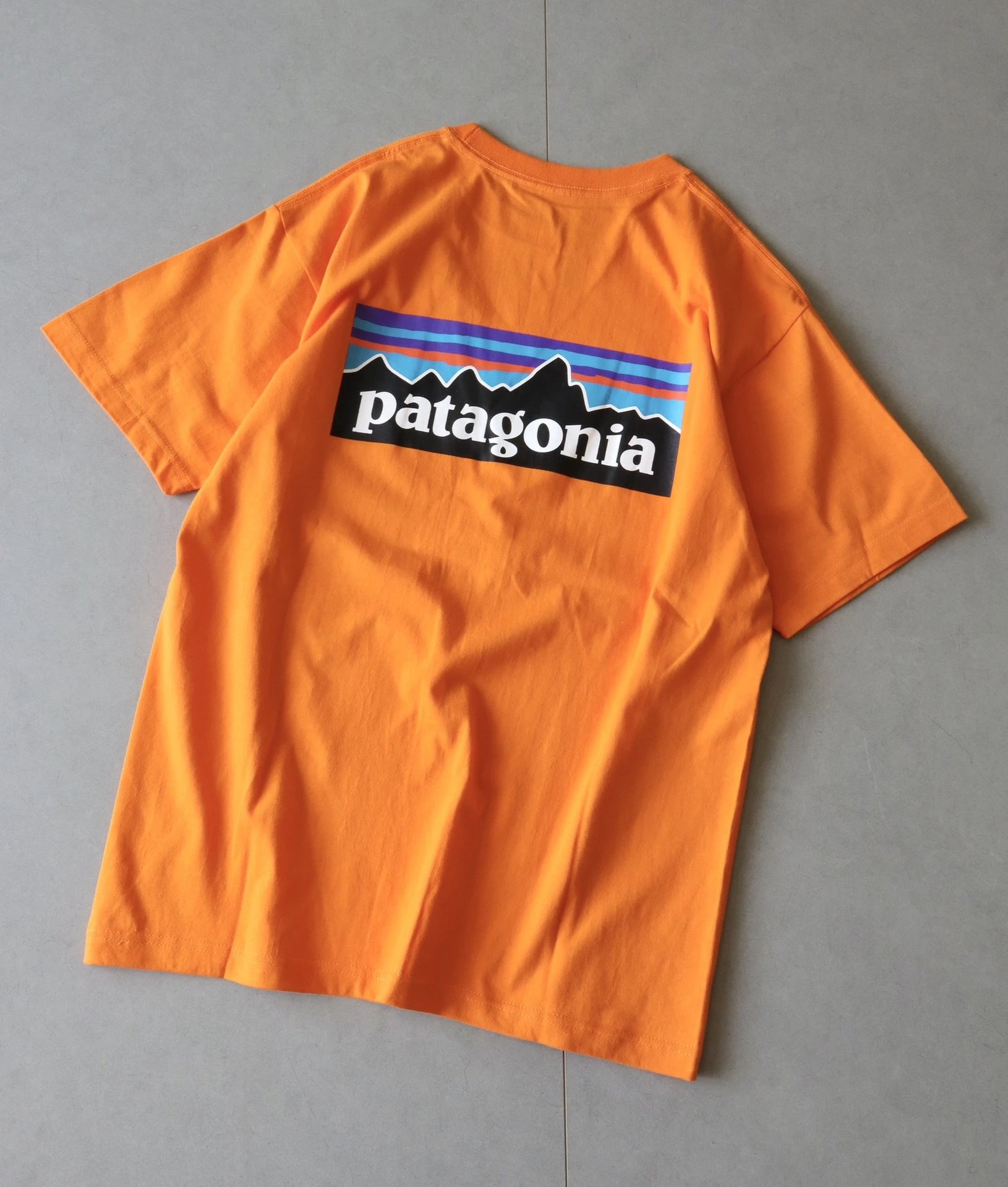 Patagonia P-6 Logo Responsibili-Tee Forest Green T-Shirt - 20