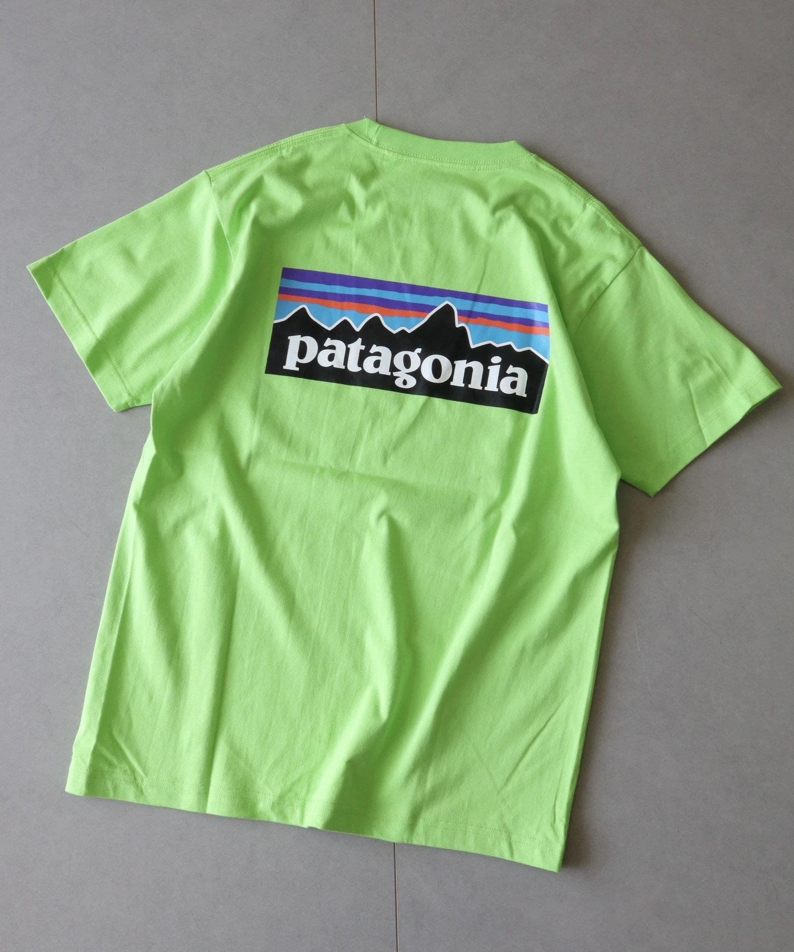 Patagonia P-6 Logo Responsibili-Tee Forest Green T-Shirt - 28