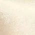 5 White AD8800