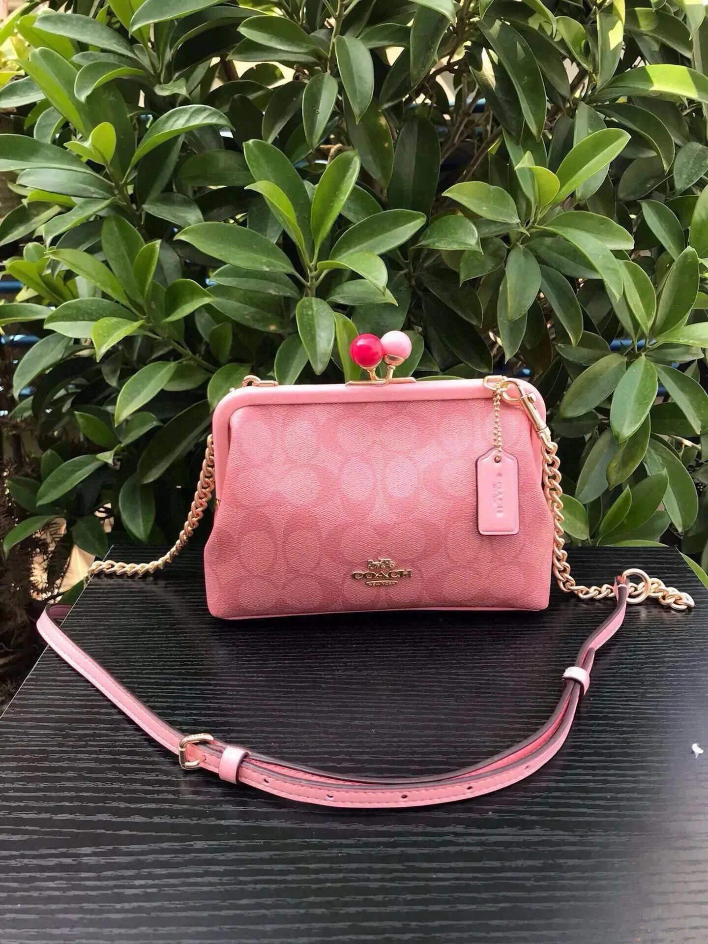 Coach Crossbody Bags — C1451-2