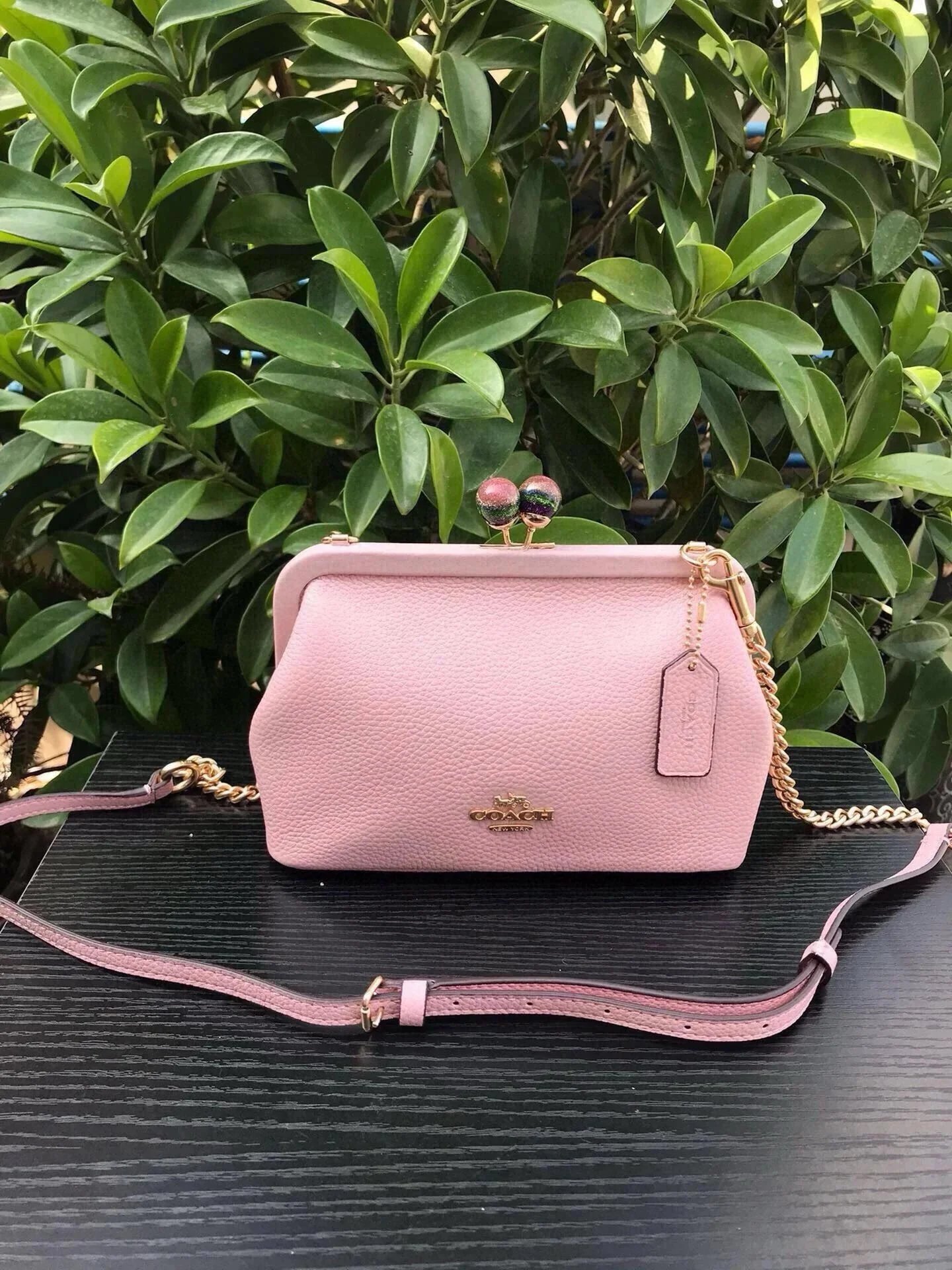 Coach Crossbody Bags — C1451-4