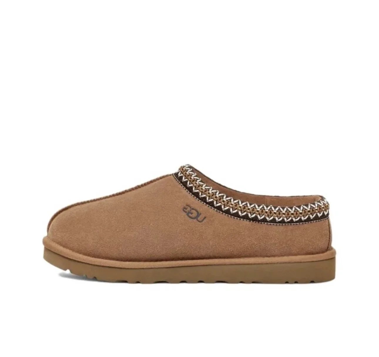 tasman maroon