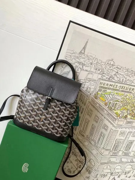 Goyard Saint-Louis Mini Backpack Multicolor - 1