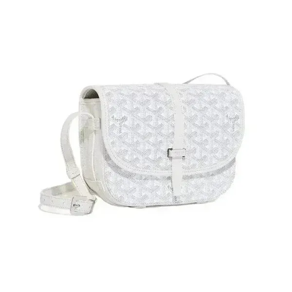 Goyard Saint Louis PM White Canvas Crossbody Bag - 1