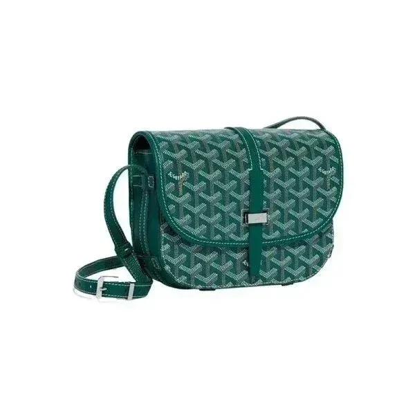 Goyard Saint Louis PM Green Canvas Crossbody Bag - 1