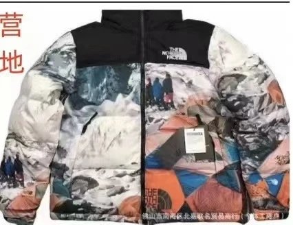 THE NORTH FACE Down jacket