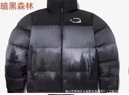 THE NORTH FACE Down jacket