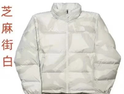 THE NORTH FACE Down jacket