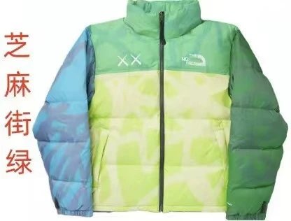 THE NORTH FACE Down jacket