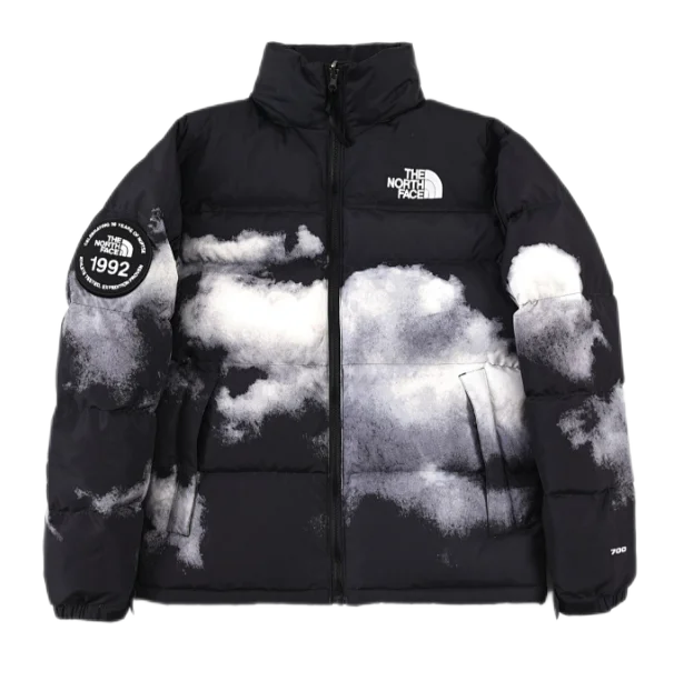 The North Face Down Jackets Color-block puffer jacket product detail image 5