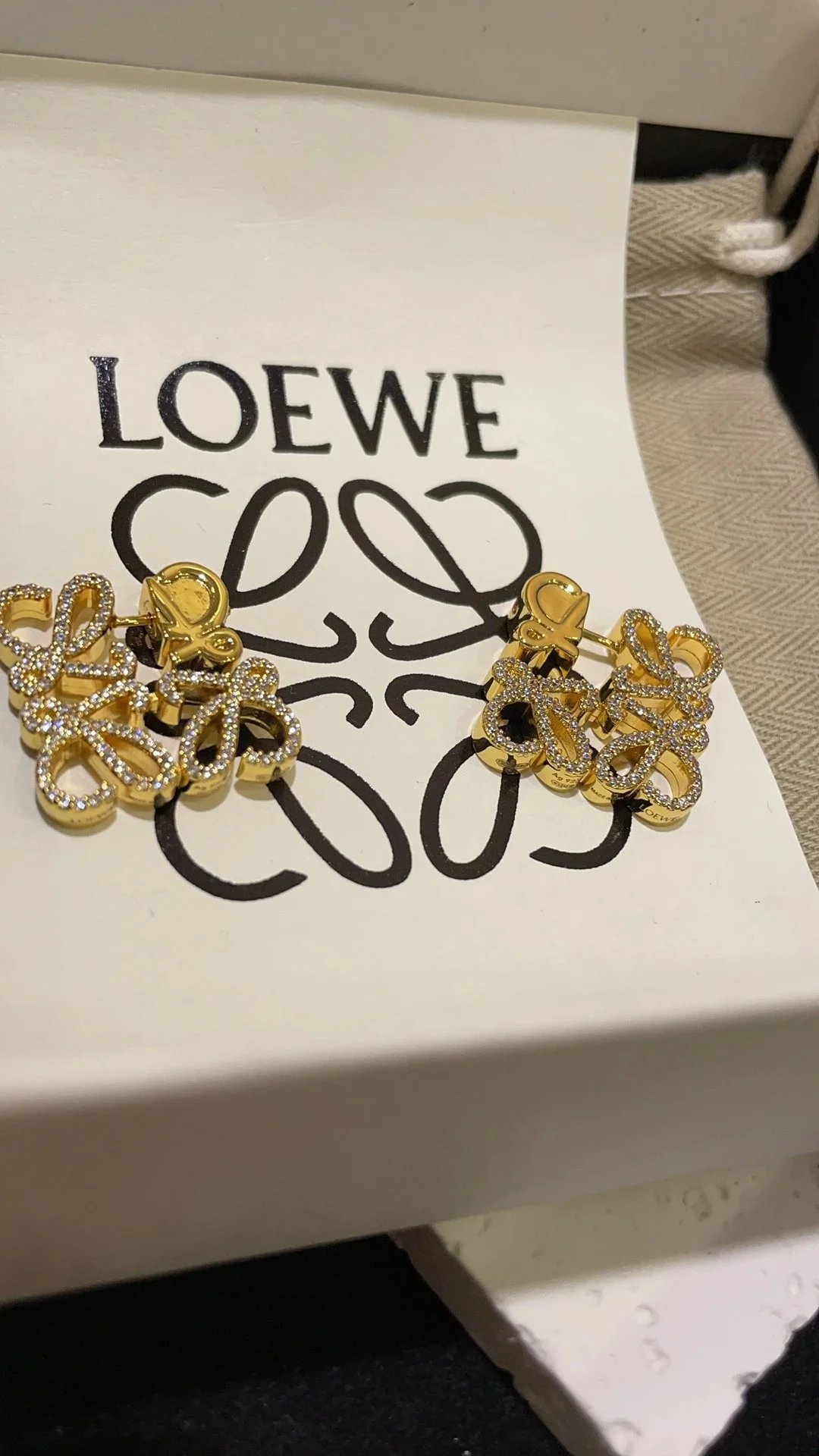 Loewe Anagram Earrings