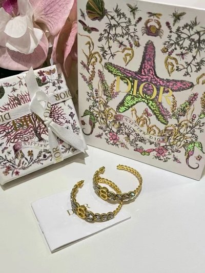 Dior CD Chain Hoop Earrings
