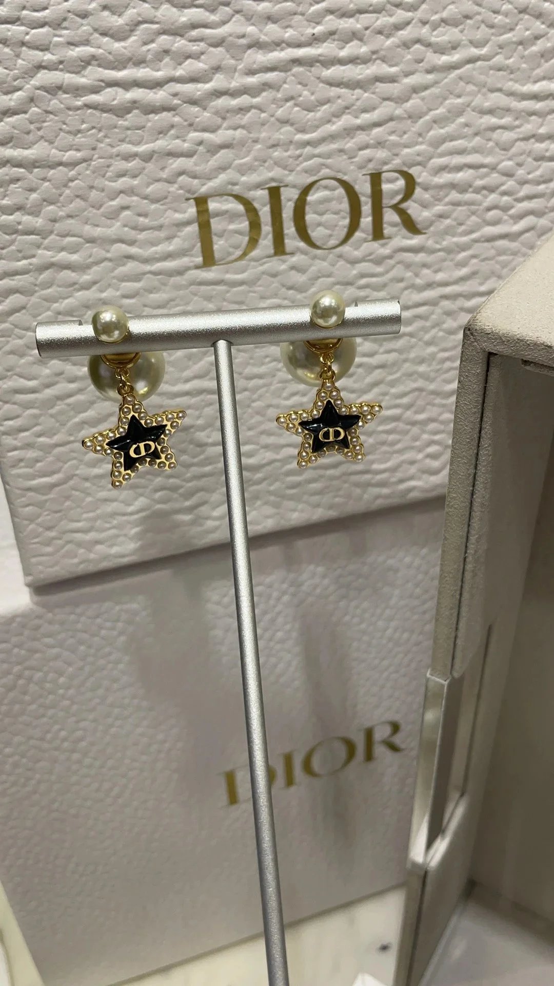 Dior Logo Earrings - 006565