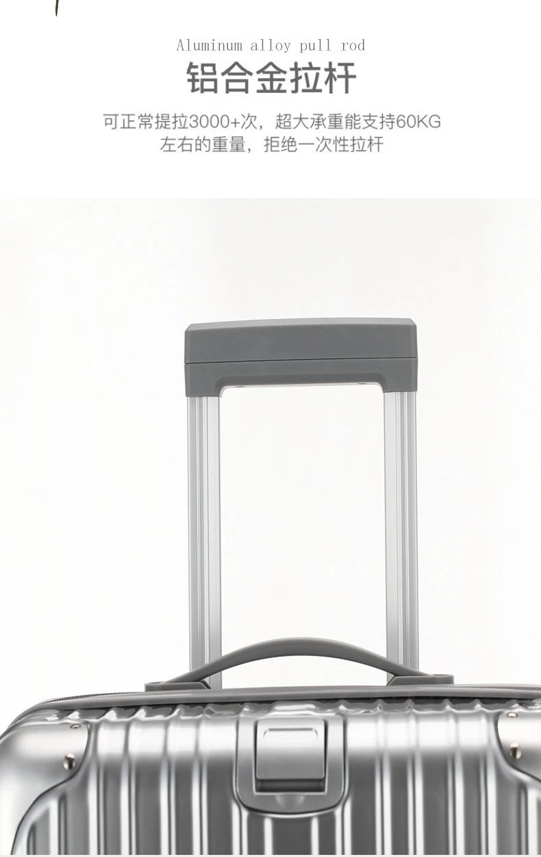Design Silver Hardshell Spinner Suitcase Set Suitcase - 26