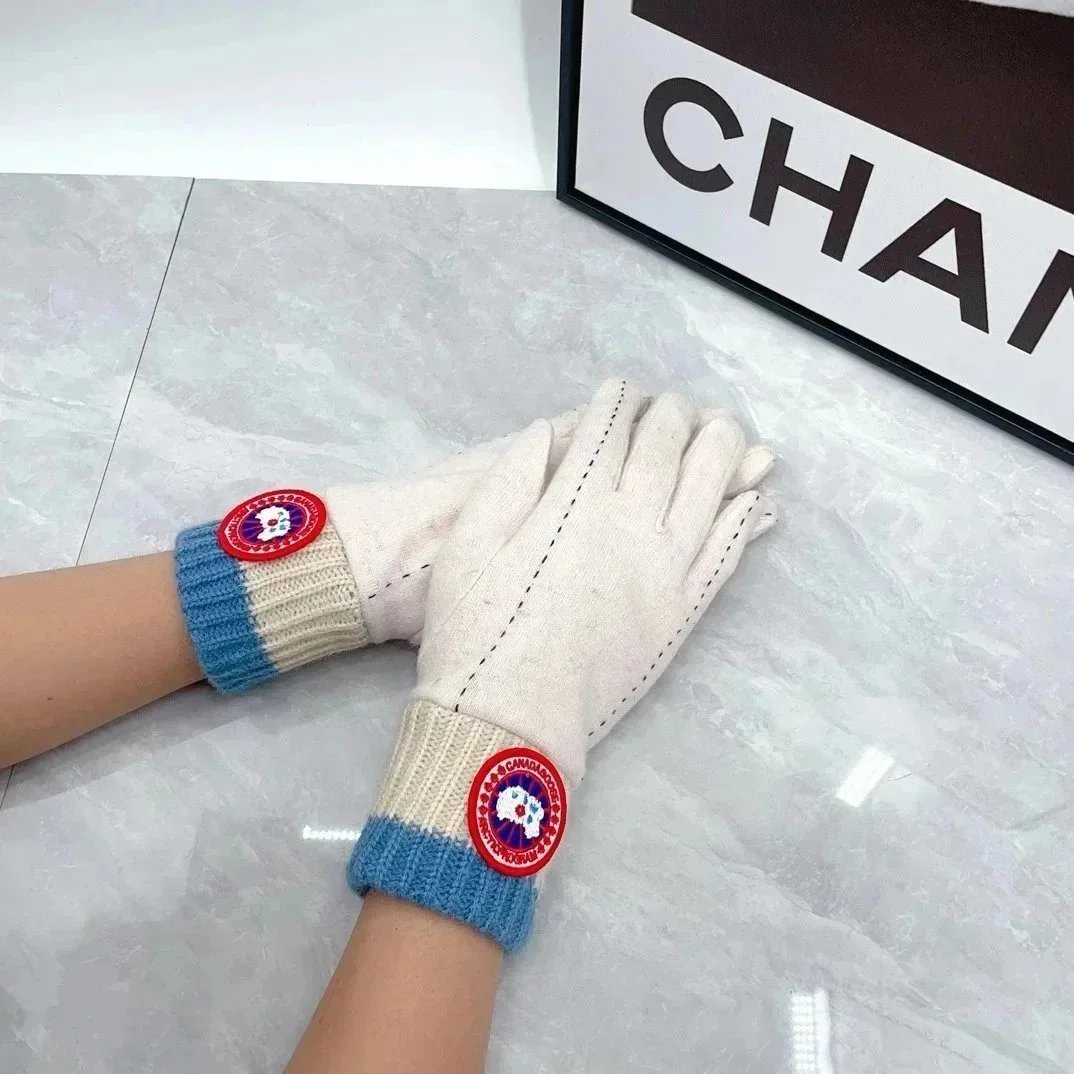Dior Gloves Knit with Embroidered Bee Motif — 20