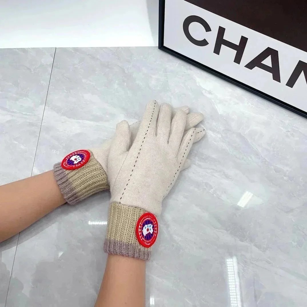 Dior Gloves Knit with Embroidered Bee Motif — 19