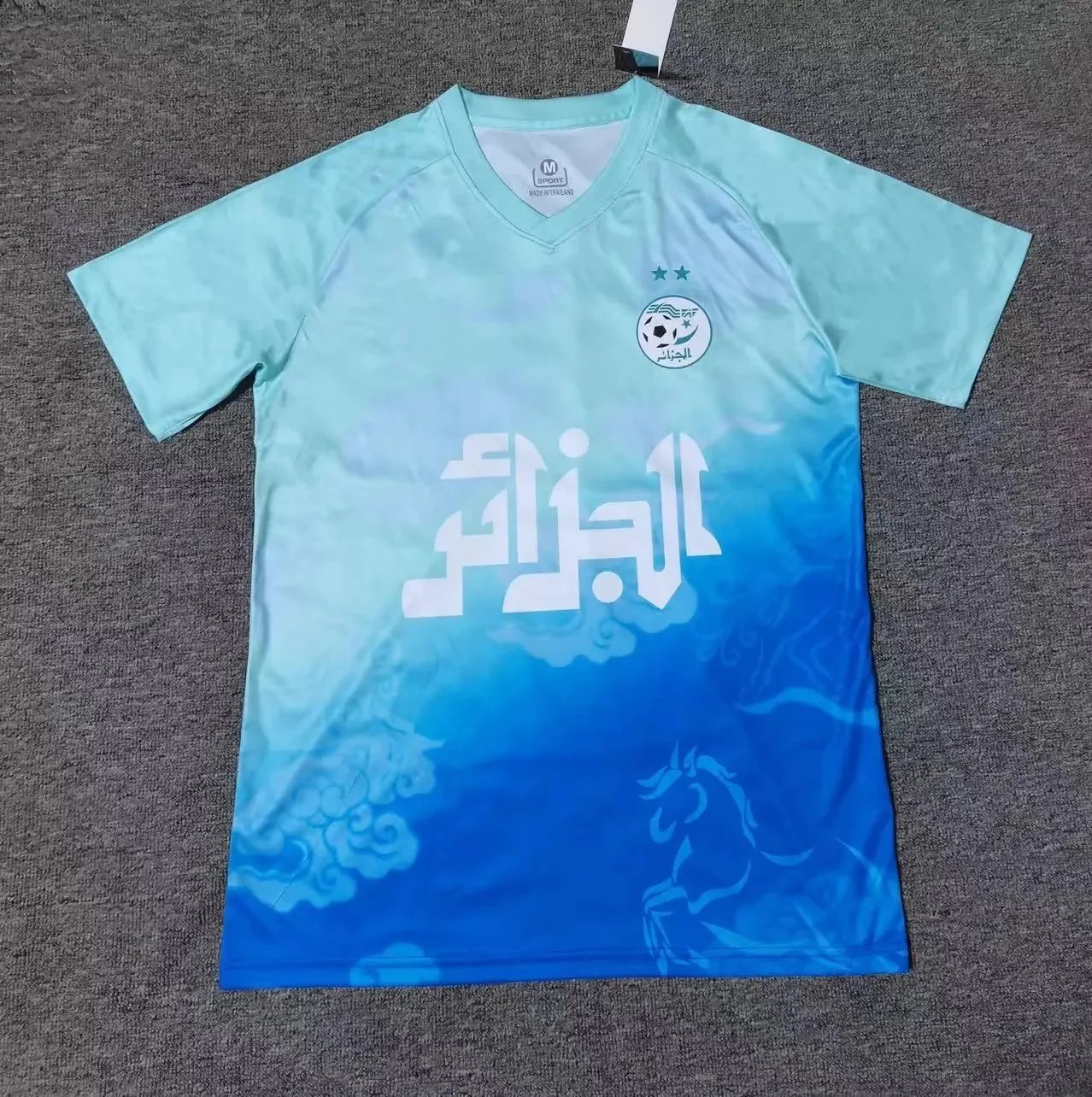 B Sport Football Jerseys Graphic Print — 2526 ALGERIA BLUE