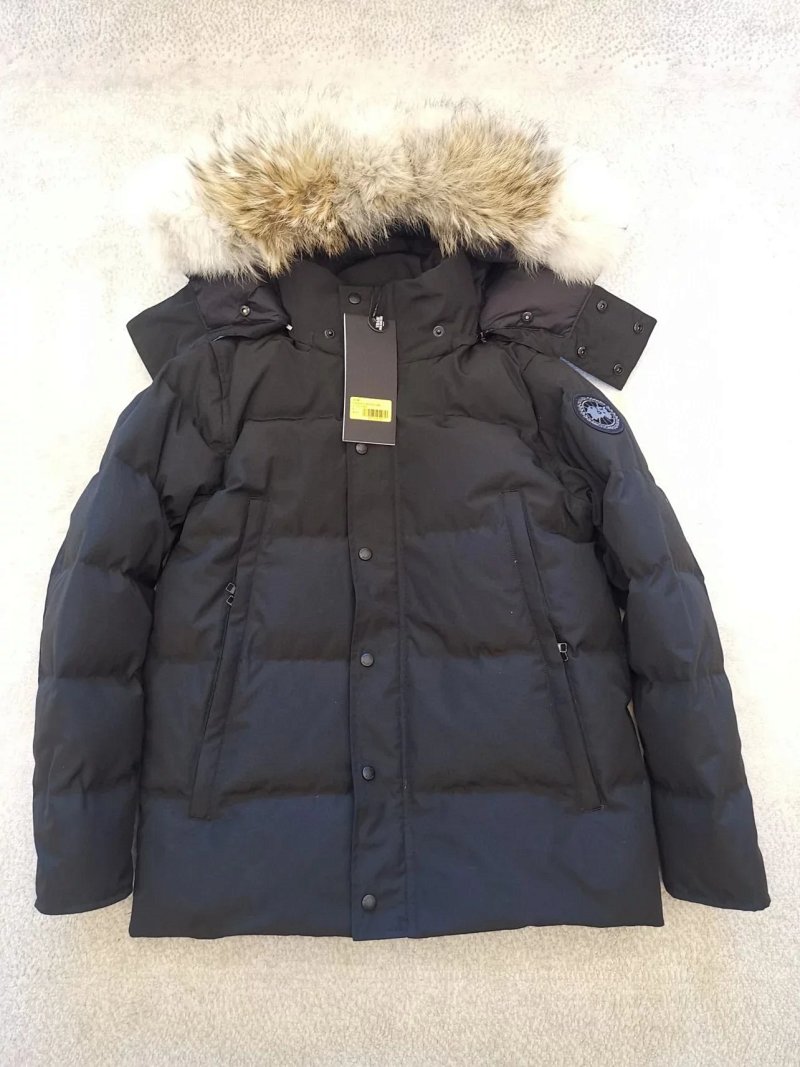 Can29 Wyndh S-xxl