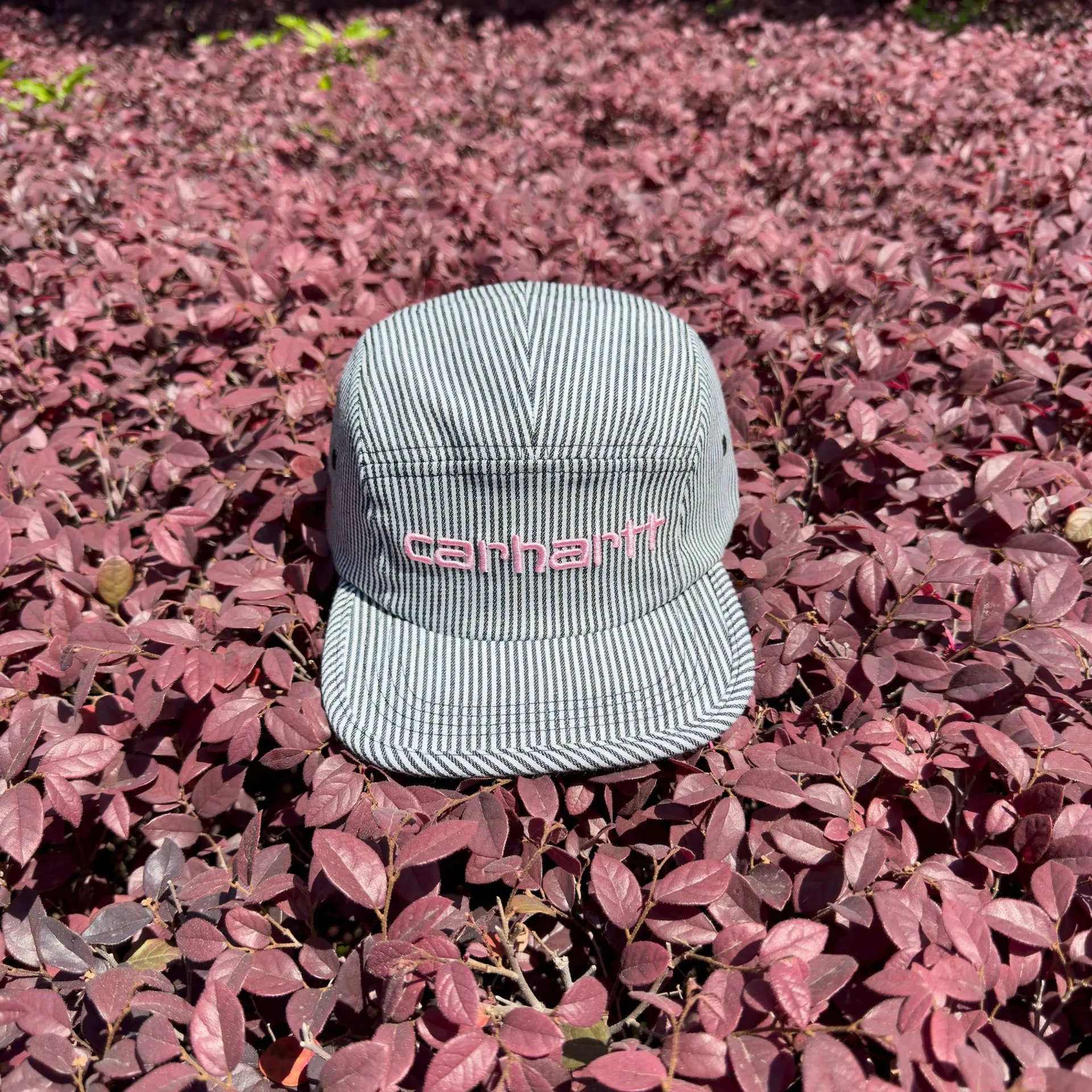 Carhartt Hats Striped 5-Panel Cap — 1685004MX
